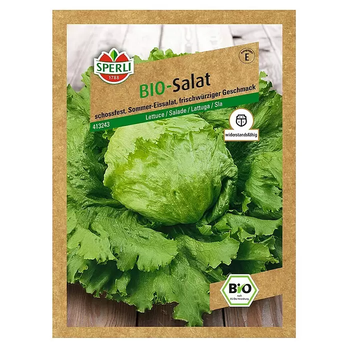 Sperli Sjeme salate - Berba: Lipanj - Pogled sprijeda