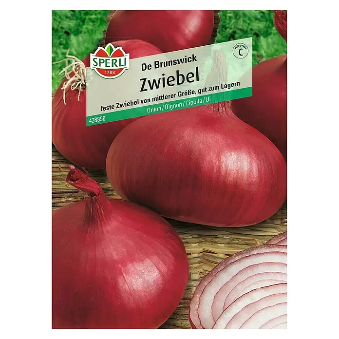 Sperli Gemüsesamen Zwiebel - Allium cepa, Erntezeit: Juni - Vorderansicht