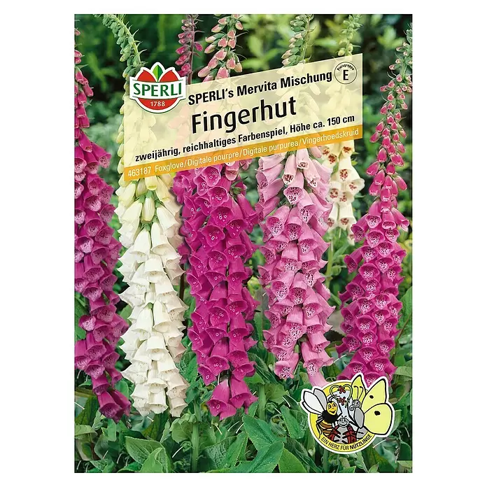 Sperli Blumensamen Fingerhut - Echinacea purpurea, Mehrfarbig - Vorderansicht