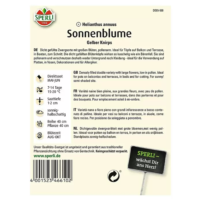Sperli Blumensamen Sonnenblume - Gelber Knirps, Helianthus annuus, Blütezeit: August - Rückansicht