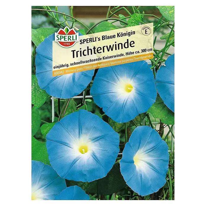 Sperli Blumensamen Kaiserwinde - Ipomoea tricolor, Blau - Vorderansicht