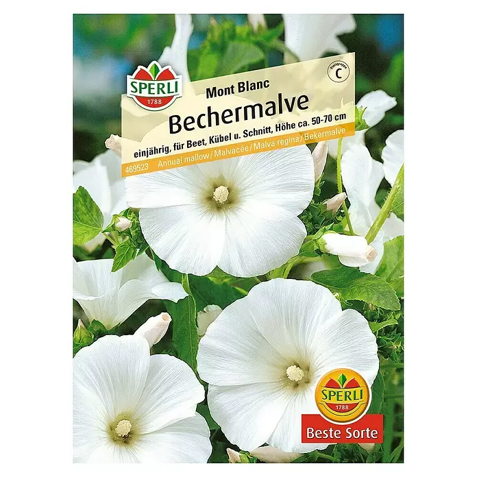 Sperli Blumensamen Bechermalve Mont Blanc - Lavatera trimestris, Weiß - Vorderansicht