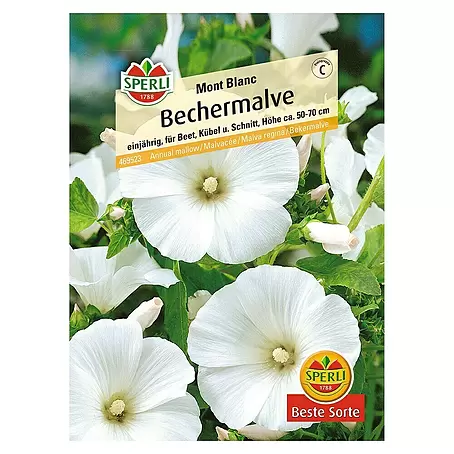 Sperli  Blumensamen Bechermalve Mont Blanc