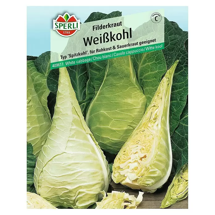 Sperli Gemüsesamen Weißkohl - Brassica oleracea, Erntezeit: September - Vorderansicht