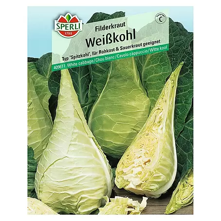 Sperli  Gemüsesamen Weißkohl