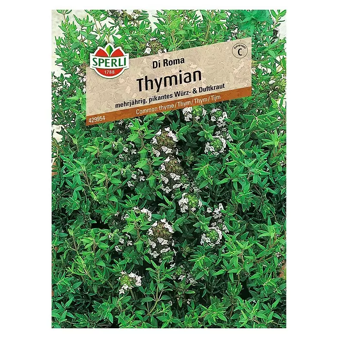 Sperli Kräutersamen Thymian Di Roma - Thymus vulgaris, Saatzeit: Mai, Erntezeit: Juli - Vorderansicht