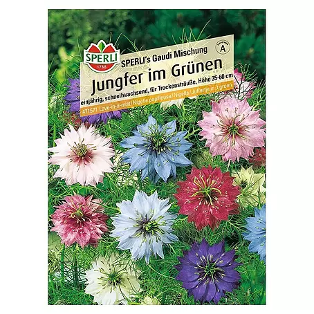 Sperli  Blumensamen Jungfer im Grünen
