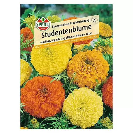 Sperli  Blumensamen Studentenblume