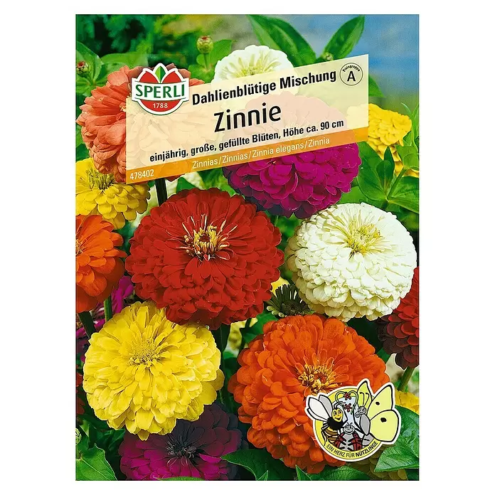 Sperli Blumensamen Zinnie dahlienblütig - Zinnia elegans, Mehrfarbig - Vorderansicht