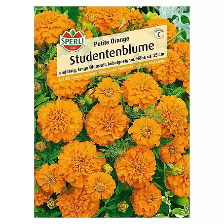 Sperli  Blumensamen Studentenblume