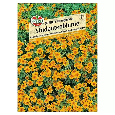 Sperli  Blumensamen Studentenblume
