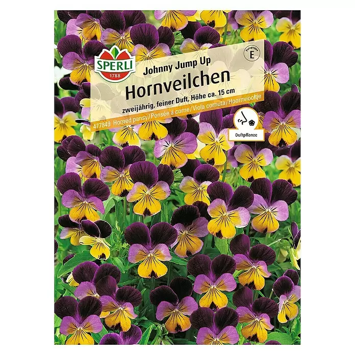 Sperli Blumensamen Hornveilchen - Viola x cornuta, Mehrfarbig - Vorderansicht