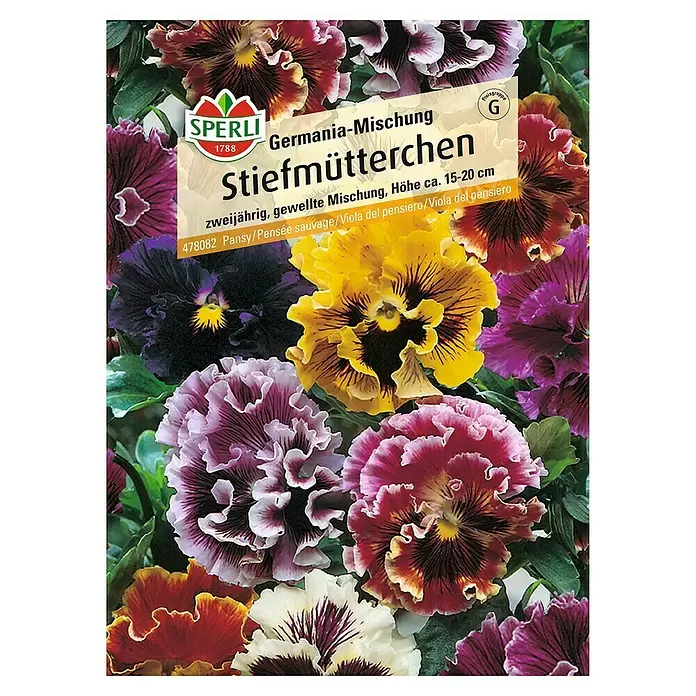 Sperli Blumensamen Stiefmütterchen - Viola x wittrockiana, Mehrfarbig - Vorderansicht