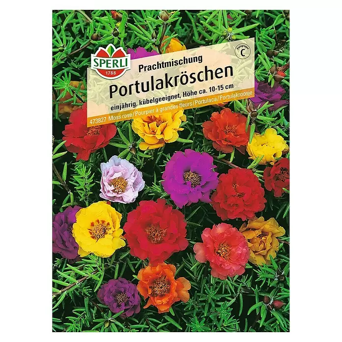 Sperli Blumensamen Portulakröschen - Portulaca grandiflora, Mehrfarbig - Vorderansicht