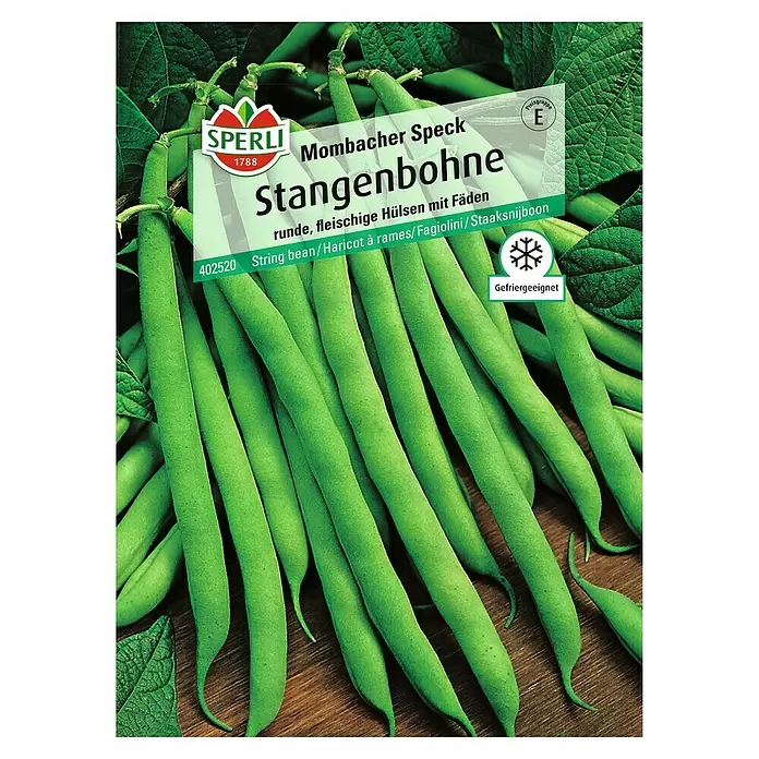Sperli Gemüsesamen Stangenbohne - Mombacher Speck, Phaseolus vulgaris, Erntezeit: Juli - Vorderansicht