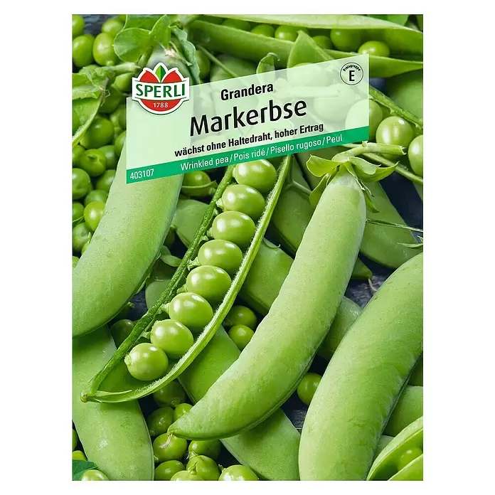 Sperli Gemüsesamen Markerbse - Pisum sativum, Erntezeit: Juni - Vorderansicht