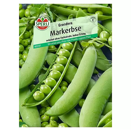 Sperli  Gemüsesamen Markerbse