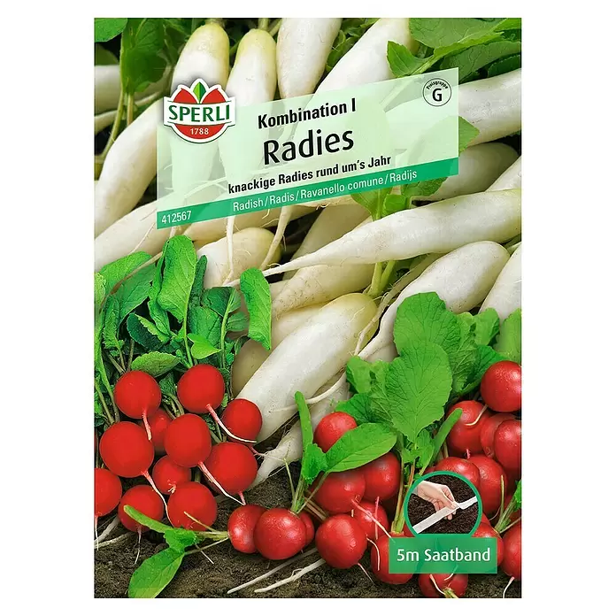 Sperli Gemüsesamen Radies - Kombination I, Raphanus sativus, Erntezeit: Mai - Vorderansicht