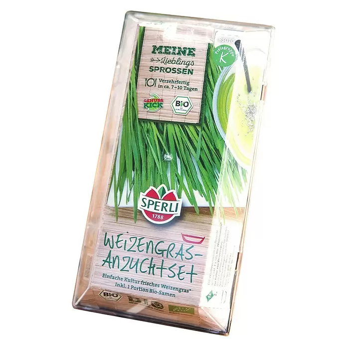 Saatgut Bio-Weizen Sprossen-Anzuchtset - Triticum aestivum - Diagonale Ansicht