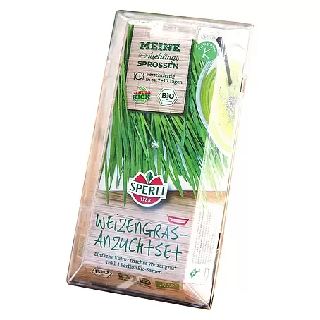 Saatgut Bio-Weizen Sprossen-Anzuchtset