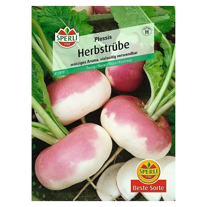 Sperli Gemüsesamen Speiserübe - Brassica rapa, Erntezeit: Juni - Vorderansicht