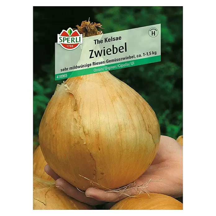 Sperli Gemüsesamen Zwiebel - Allium cepa, Erntezeit: September - Vorderansicht