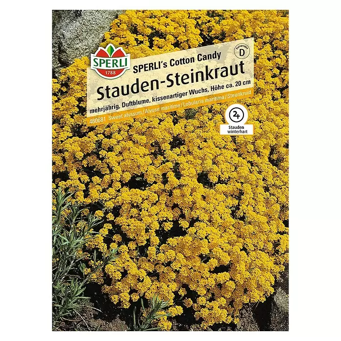 Sperli Blumensamen Stauden-Steinkraut - Antirrhinum majus, Saatzeit: Mai - Vorderansicht