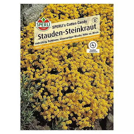 Sperli  Blumensamen Stauden-Steinkraut