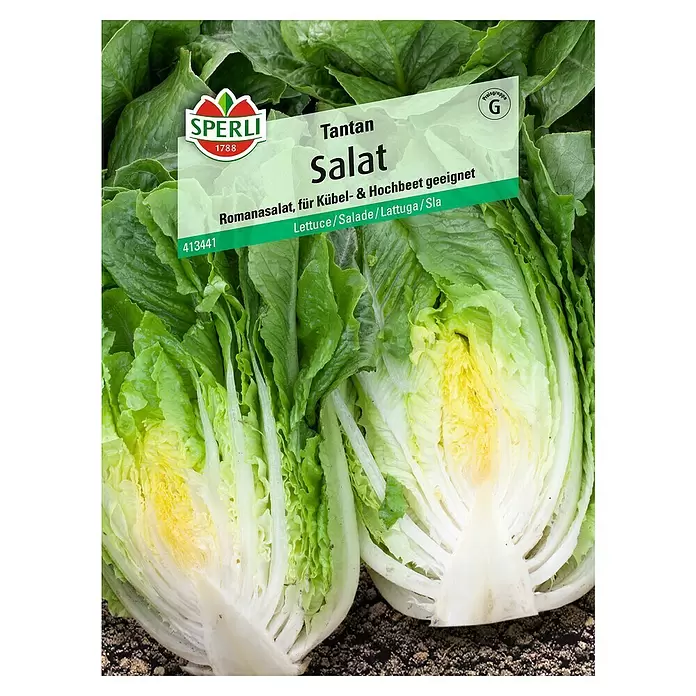 Sperli Salatsamen Romana - Lactuca sativa, Erntezeit: Mai - Vorderansicht