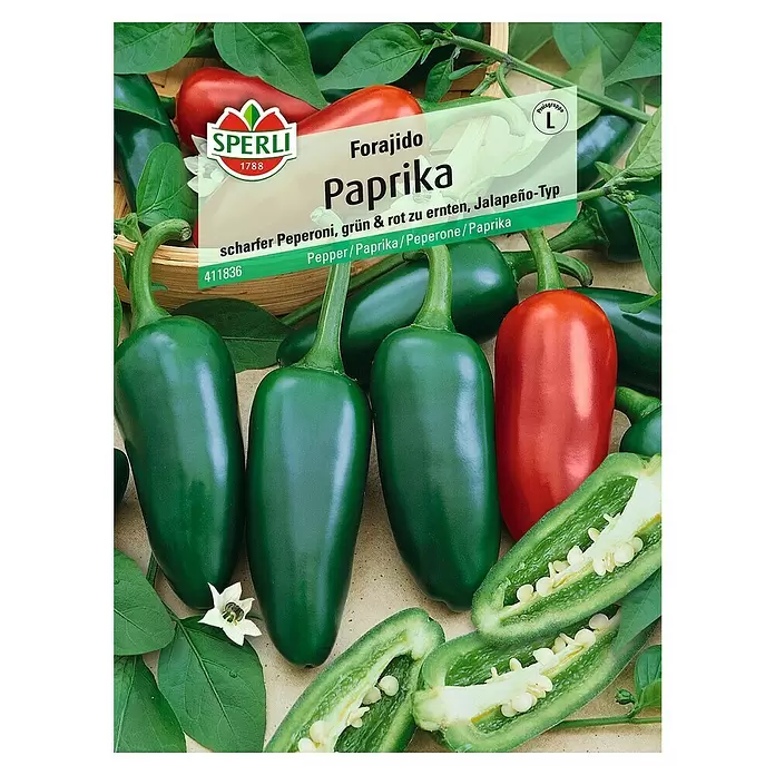 Sperli Gemüsesamen Paprika - Forajido, Capsicum annuum, Erntezeit: Juli - Vorderansicht
