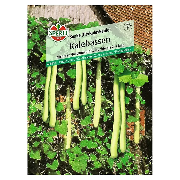 Sperli Saatgut Kalebassen - Lagenaria siceraria - Vorderansicht
