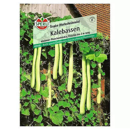 Sperli  Saatgut Kalebassen