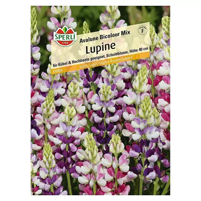 Sperli Blumensamen Lupine - Lupinus polyphyllus, Mehrfarbig - Vorderansicht