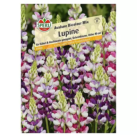 Sperli  Blumensamen Lupine