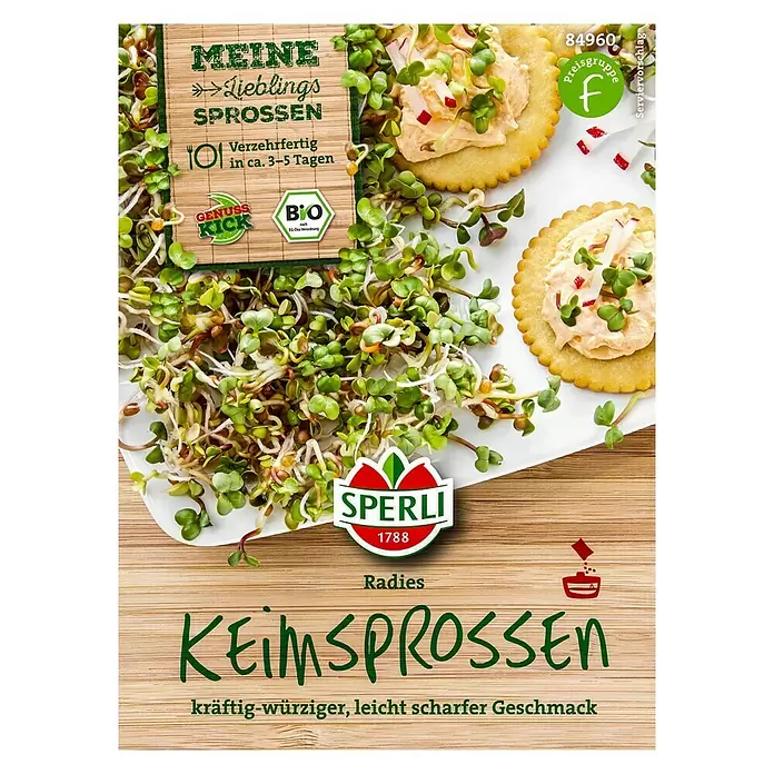 Sperli Saatgut - Radies grün - Vorderansicht