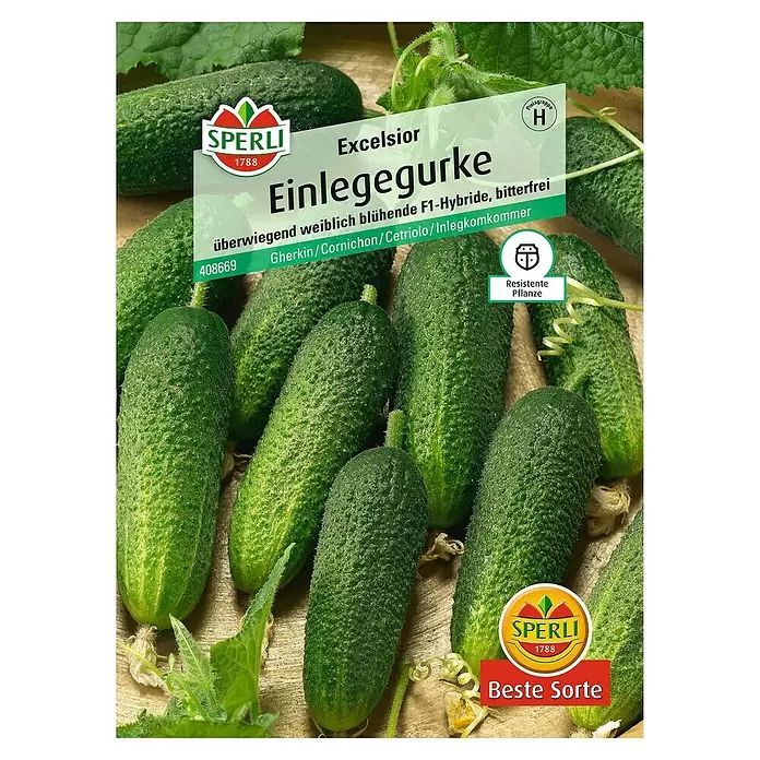 Sperli Gemüsesamen Einlegegurke - Excelsior, Cucumis sativus, Erntezeit: Juli - Vorderansicht