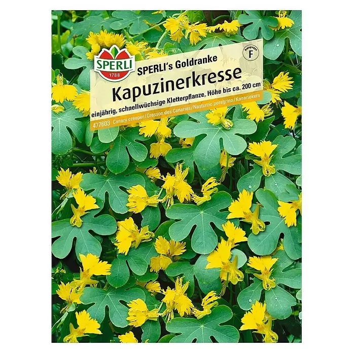 Sperli Kräutersamen Kapuzinerkresse - Tropaeolum peregrinum, Saatzeit: Mai - Vorderansicht