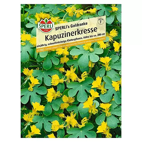 Sperli  Kräutersamen Kapuzinerkresse