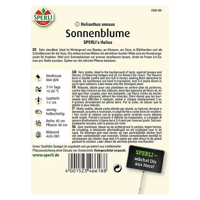 Sperli Blumensamen Sonnenblume - Helios, Helianthus annuus, Blütezeit: August - Rückansicht