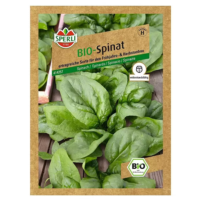 Sperli Gemüsesamen Spinat - Spinacia oleracea, Erntezeit: Mai - Vorderansicht