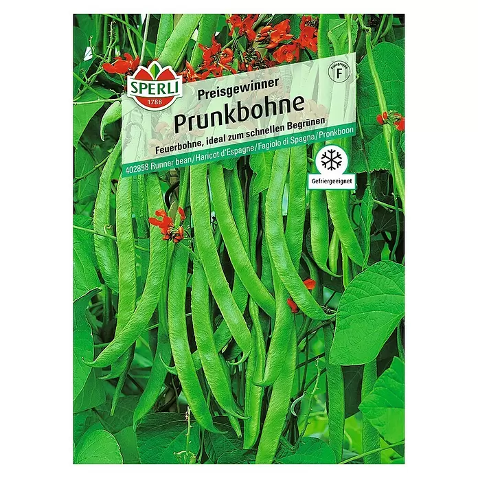 Sperli Gemüsesamen Prunkbohne - Preisgewinner, Phaseolus coccineus, Erntezeit: Juli - Vorderansicht