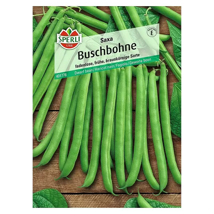 Sperli Gemüsesamen Buschbohne - Saxa, Phaseolus vulgaris var. nanus, Erntezeit: Juli - Vorderansicht