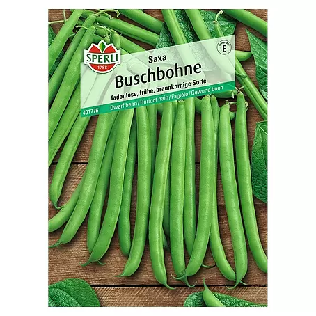 Sperli  Gemüsesamen Buschbohne