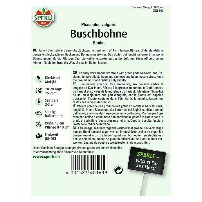 Sperli Gemüsesamen Buschbohne - Scuba, Phaseolus vulgaris var. nanus, Erntezeit: Juli - Rückansicht