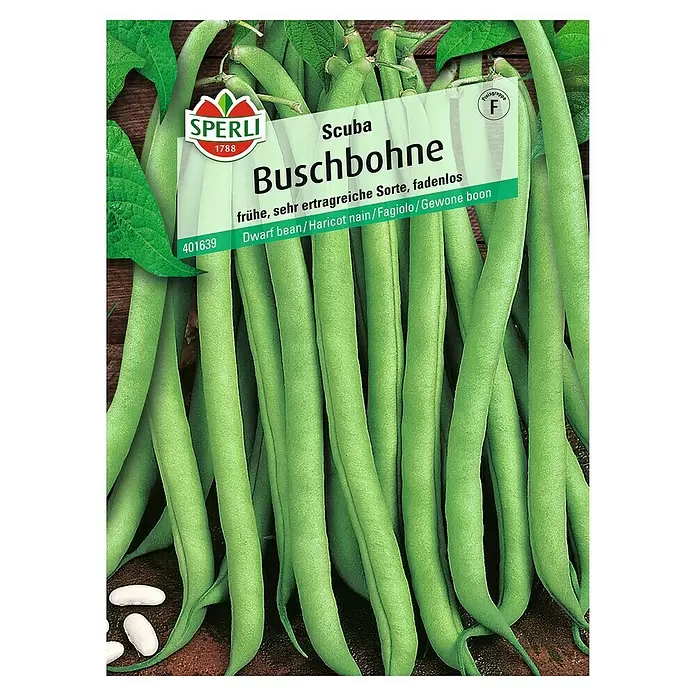Sperli Gemüsesamen Buschbohne - Scuba, Phaseolus vulgaris var. nanus, Erntezeit: Juli - Vorderansicht