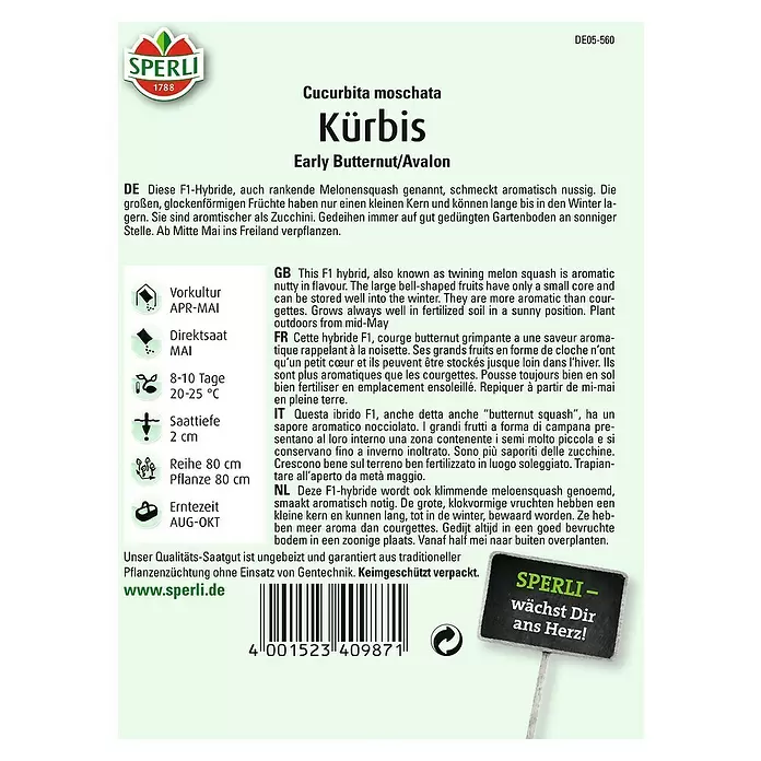 Sperli Gemüsesamen Kürbis - Early Butternut, Cucurbita moschata, Erntezeit: August - Rückansicht