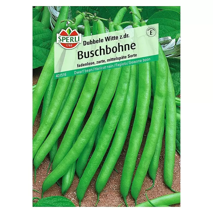 Sperli Gemüsesamen Buschbohne - Dubbele Witte, Phaseolus vulgaris var. nanus, Erntezeit: Juli - Vorderansicht