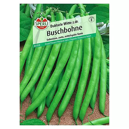 Sperli  Gemüsesamen Buschbohne