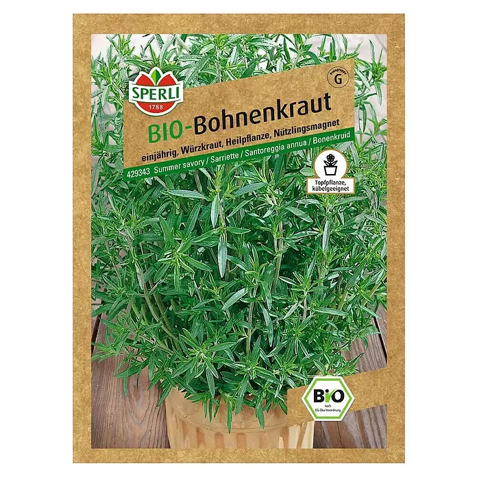 Sperli Kräutersamen Bio Bohnenkraut Cyrano - Satureja hortensis, Saatzeit: April, Erntezeit: Juni - Vorderansicht