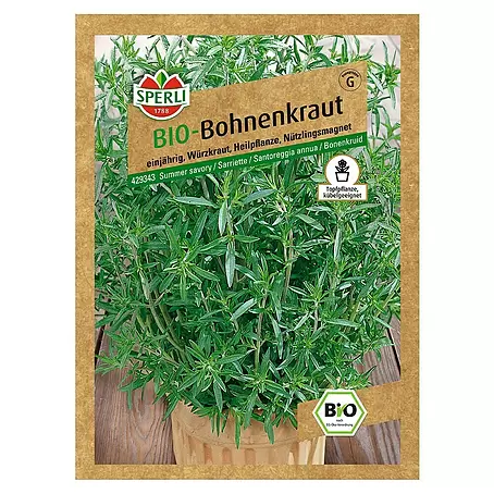 Sperli  Kräutersamen Bio Bohnenkraut Cyrano